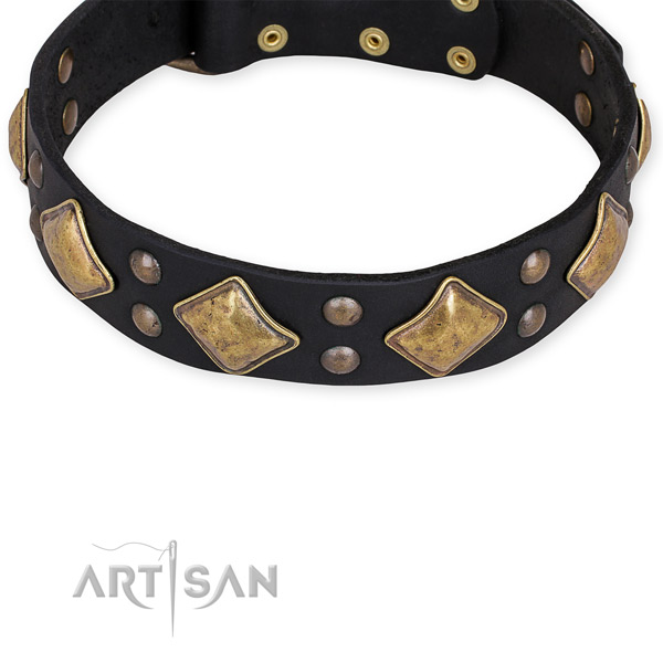 Full grain leather dog collar with trendy reliable adornments