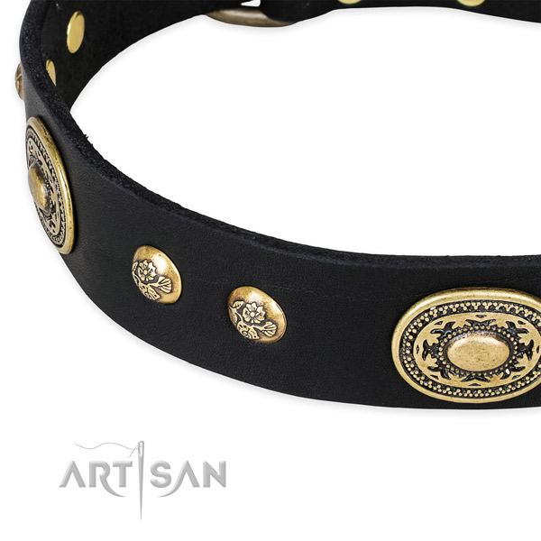 Top quality leather collar for your stylish pet