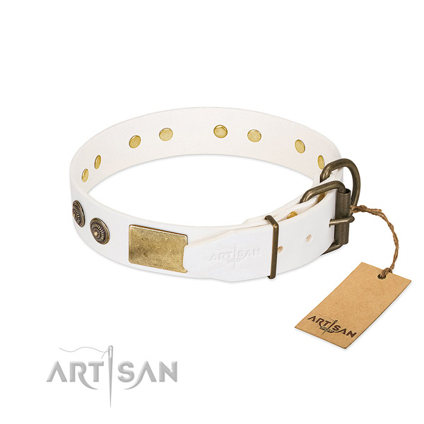 Strong fittings on full grain genuine leather collar for stylish walking your pet