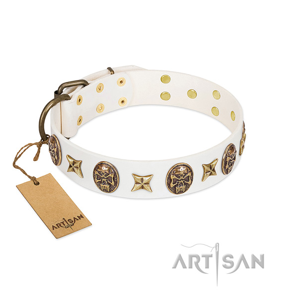 Significant full grain natural leather dog collar for basic training