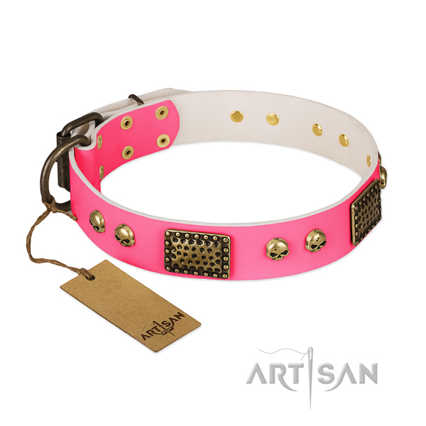 Easy to adjust leather dog collar for basic training your dog