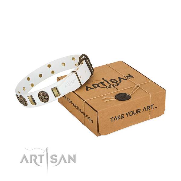 Strong traditional buckle on natural genuine leather dog collar for everyday use