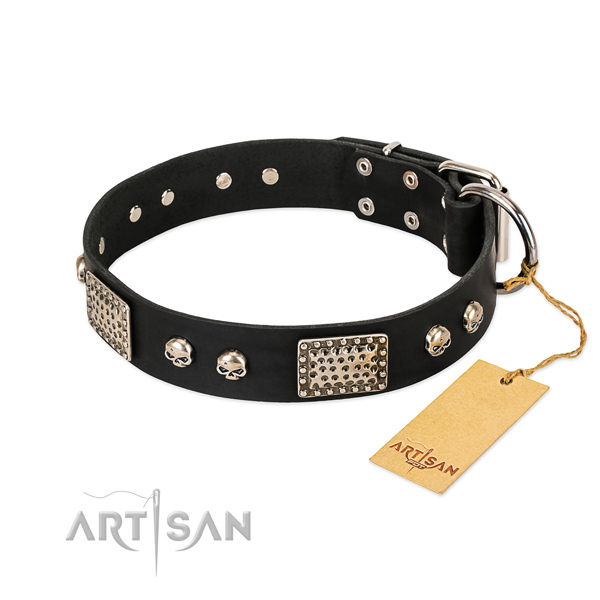 Easy wearing full grain natural leather dog collar for stylish walking your dog