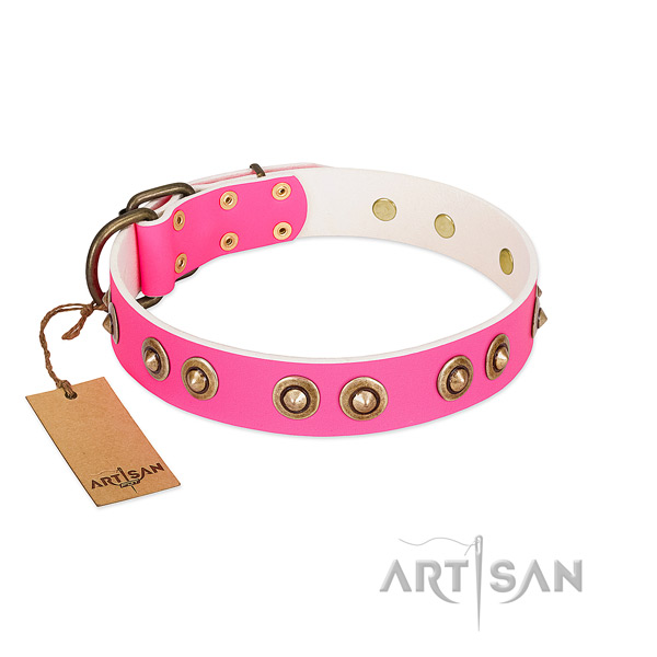 Amazing full grain natural leather dog collar for stylish walking