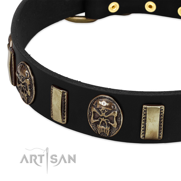 Reliable adornments on genuine leather dog collar for your four-legged friend