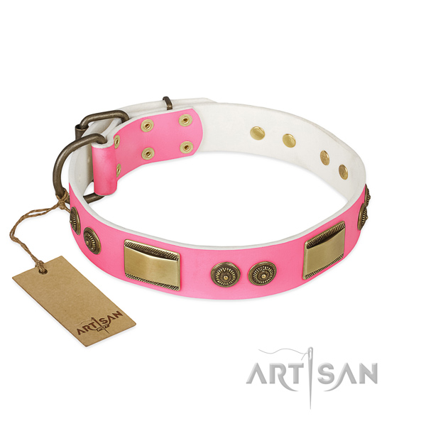 Awesome genuine leather dog collar for daily walking