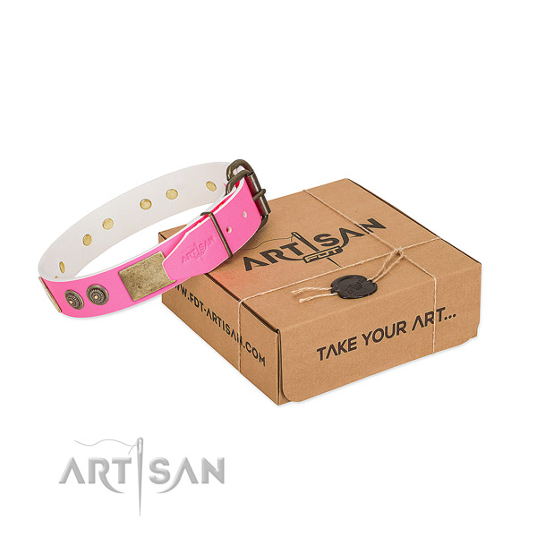 Reliable fittings on natural genuine leather dog collar for walking