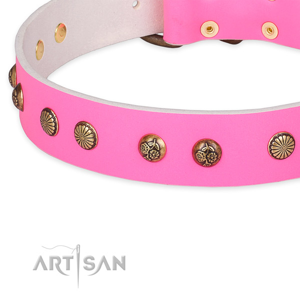 Stunning natural genuine leather collar for your impressive doggie
