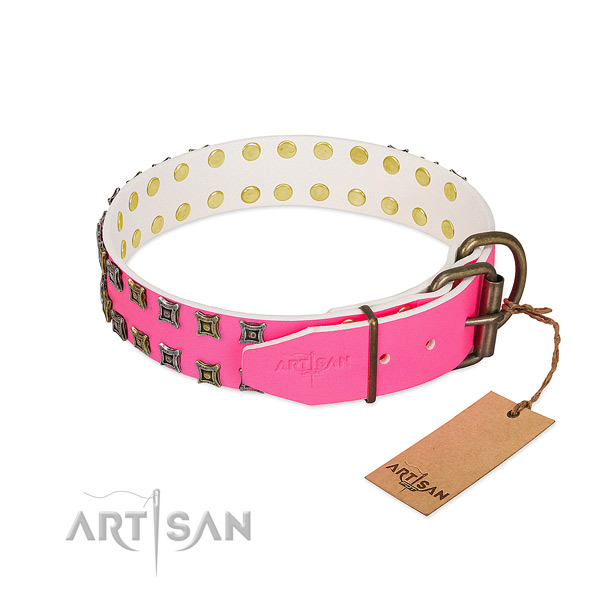 Genuine leather collar with fashionable adornments for your dog