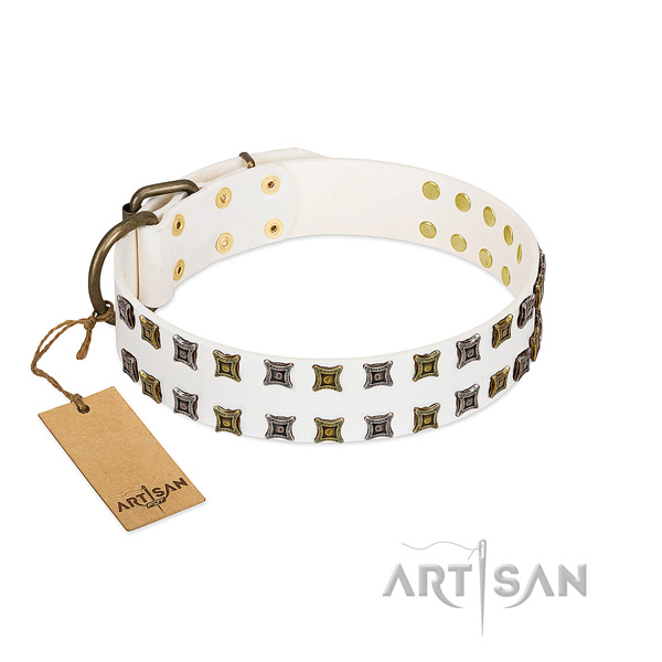 Top rate full grain genuine leather dog collar with adornments for your dog
