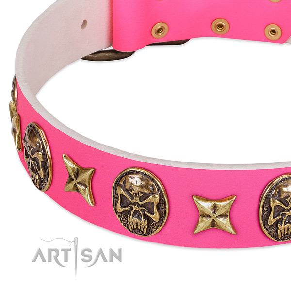 Full grain natural leather dog collar with extraordinary decorations