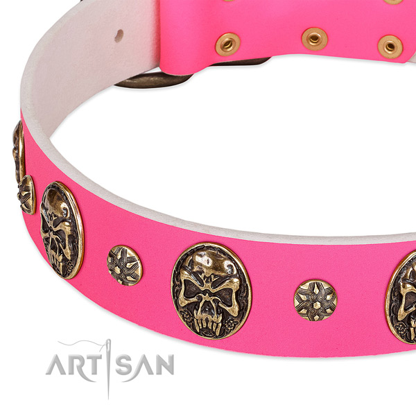 Stylish design dog collar handcrafted for your stylish four-legged friend