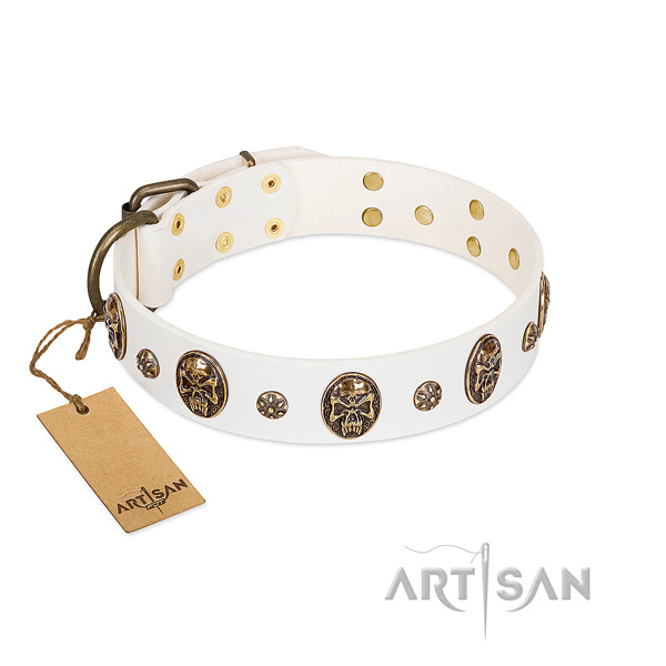 Exquisite genuine leather collar for your doggie