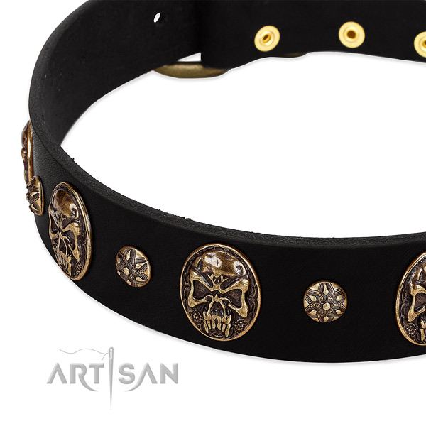 Rust resistant hardware on full grain leather dog collar for your pet