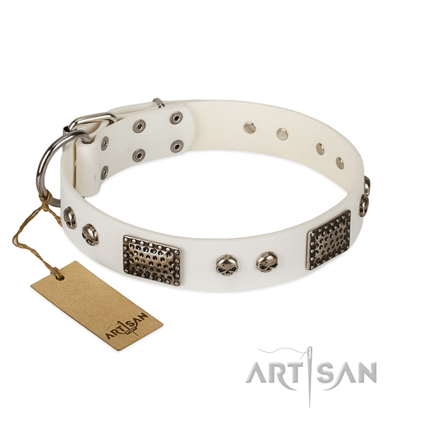 Adjustable leather dog collar for daily walking your four-legged friend