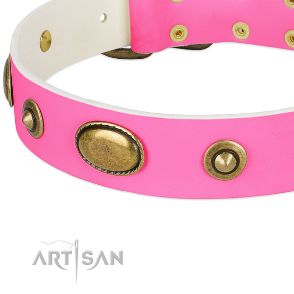 Corrosion proof studs on full grain leather dog collar for your pet