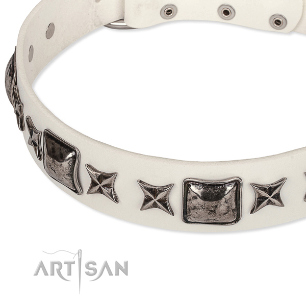 Basic training embellished dog collar of best quality full grain natural leather