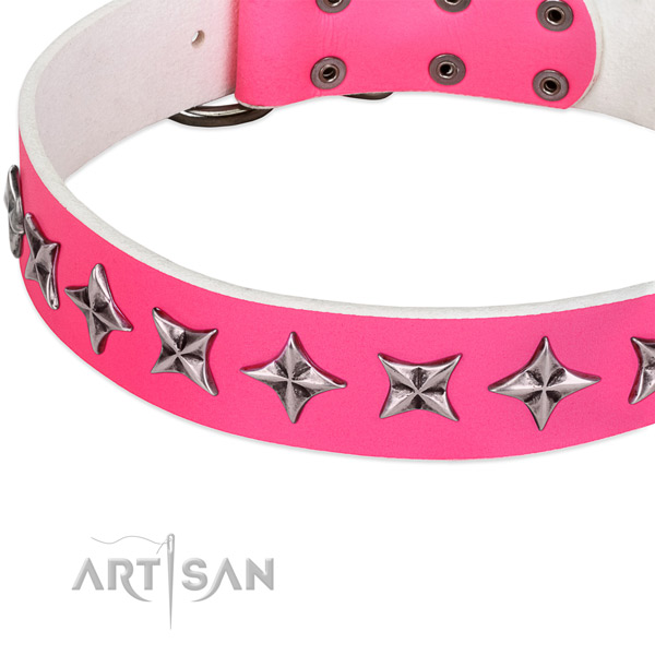 Daily walking embellished dog collar of reliable leather