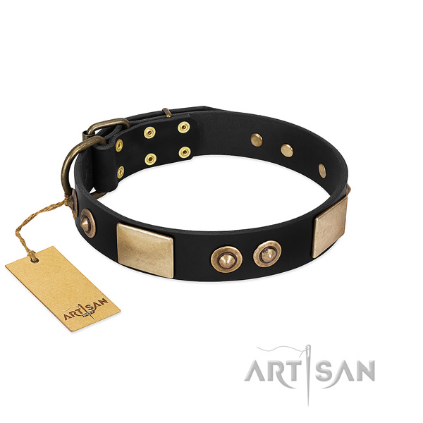 Easy wearing full grain natural leather dog collar for walking your pet