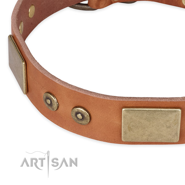 Rust-proof D-ring on genuine leather dog collar for your pet