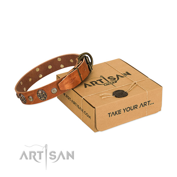 Reliable hardware on full grain natural leather dog collar for everyday walking