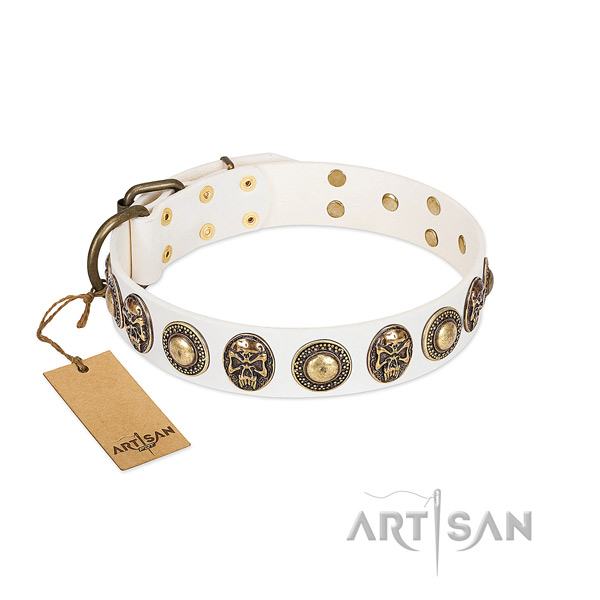 Easy wearing leather dog collar for daily walking your doggie