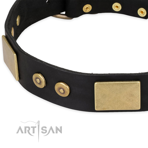 Reliable hardware on natural genuine leather dog collar for your pet
