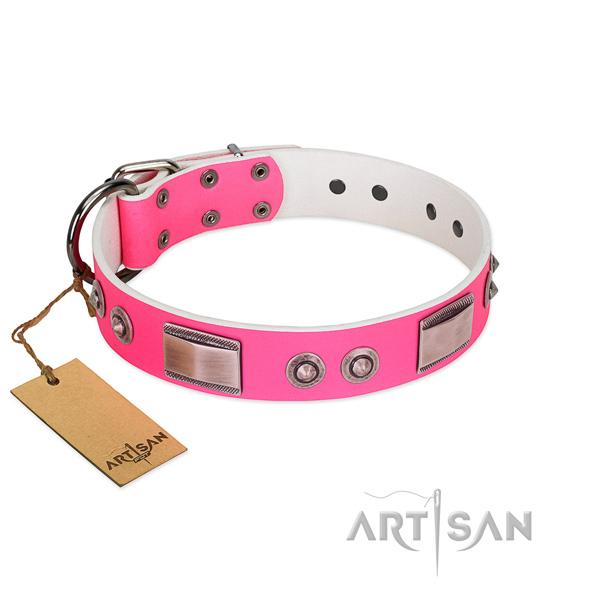 Amazing natural leather collar with embellishments for your four-legged friend