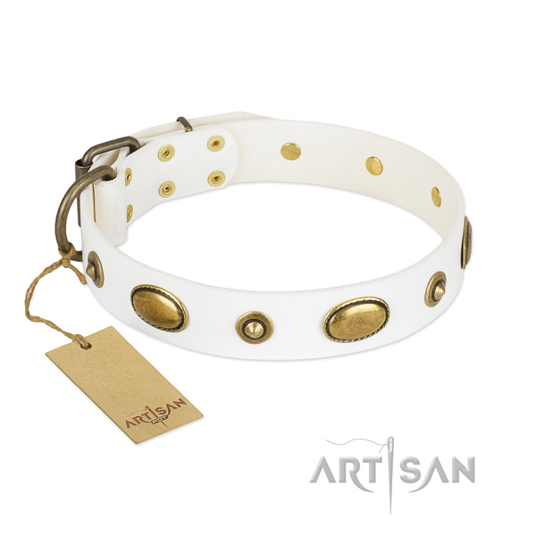 Awesome full grain genuine leather collar for your dog