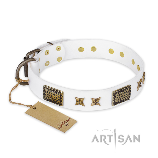 Stunning leather dog collar with rust-proof hardware