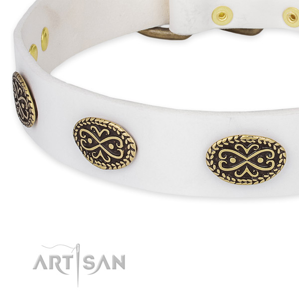 Unusual genuine leather collar for your attractive doggie