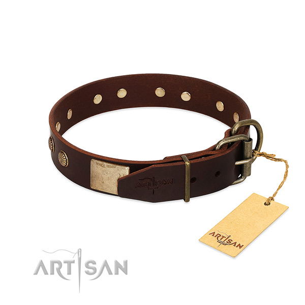 Reliable fittings on easy wearing dog collar
