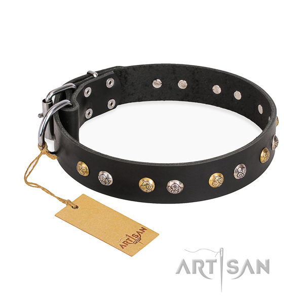 Everyday walking unusual dog collar with corrosion proof fittings