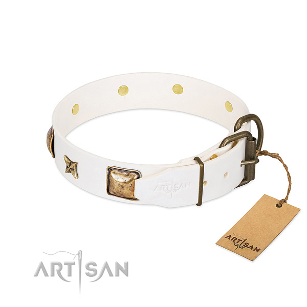 Genuine leather dog collar with durable buckle and studs