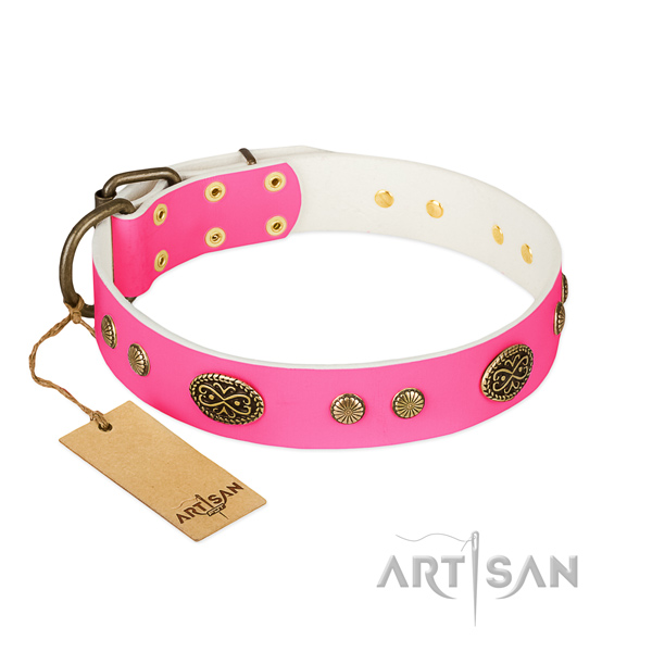 Strong adornments on leather dog collar for your four-legged friend