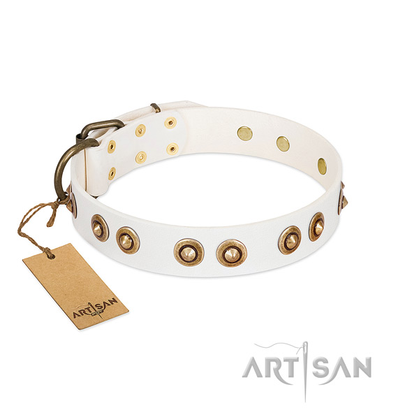 Convenient leather collar for your canine