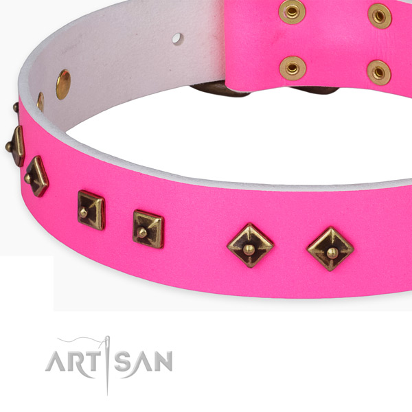 Decorated full grain leather collar for your lovely pet
