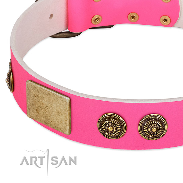 Designer dog collar made for your attractive doggie