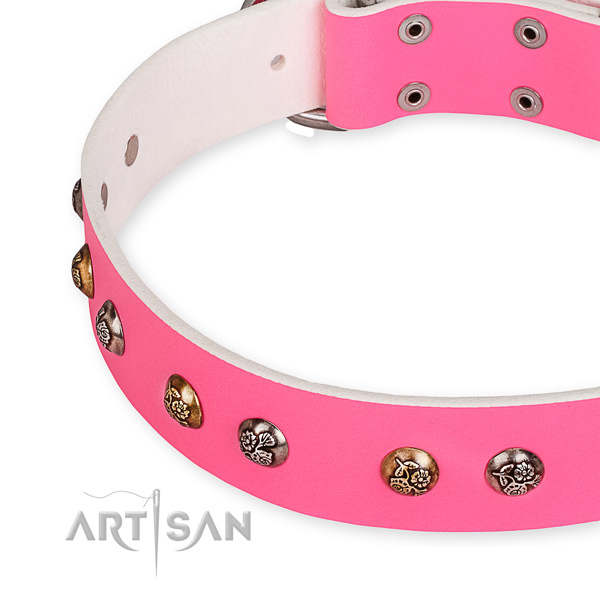 Genuine leather dog collar with significant strong embellishments