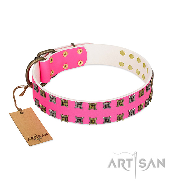 Natural leather collar with impressive decorations for your four-legged friend