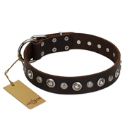 (image for) "Gorgeous Shields" FDT Artisan Brown Leather American Bulldog Collar with Old Silver-like Circles and Small Camomiles