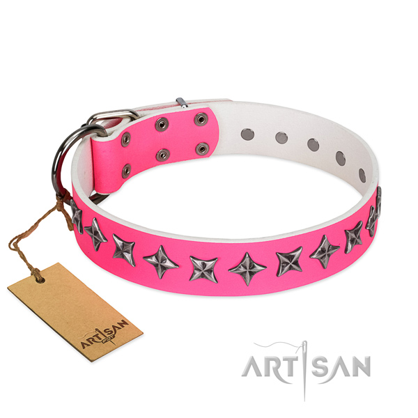 Reliable leather dog collar with exquisite embellishments