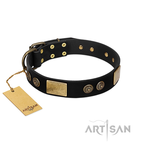 Corrosion proof embellishments on full grain genuine leather dog collar for your doggie