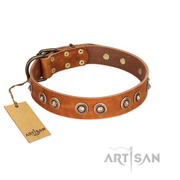 Strong studs on full grain genuine leather dog collar for your canine