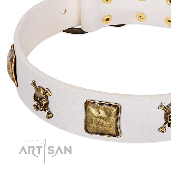 Amazing leather dog collar with corrosion proof studs