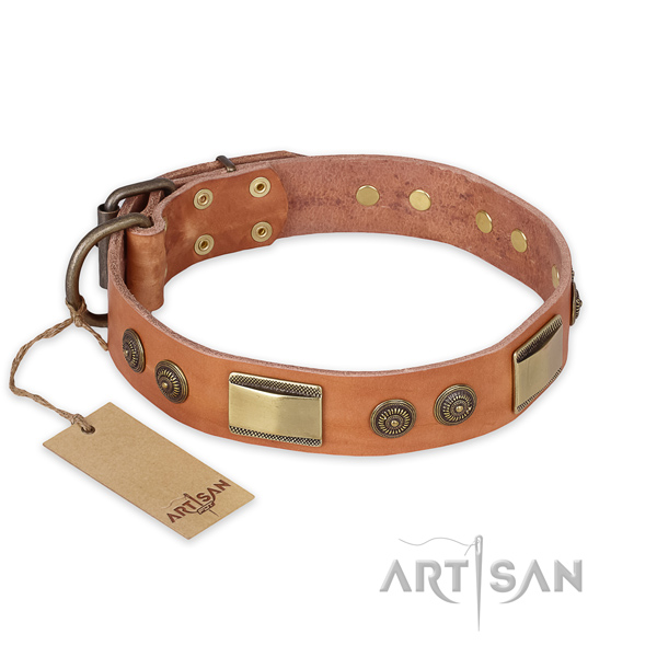 Embellished full grain leather dog collar for daily walking