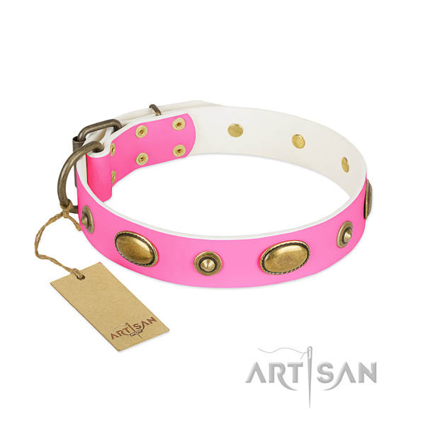 Exceptional full grain leather collar for your pet