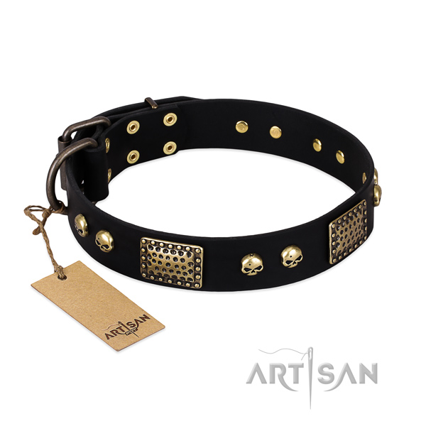 Adjustable full grain natural leather dog collar for stylish walking your canine
