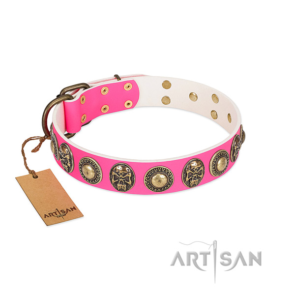 Easy wearing full grain genuine leather dog collar for daily walking your pet