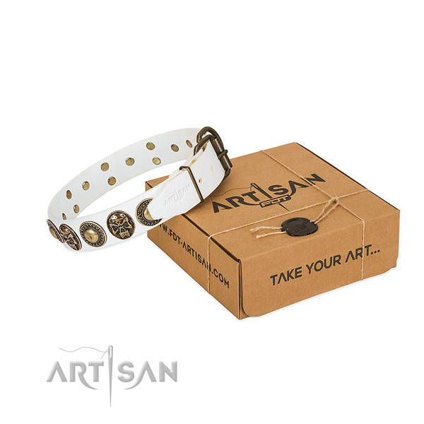 Strong studs on dog collar for walking